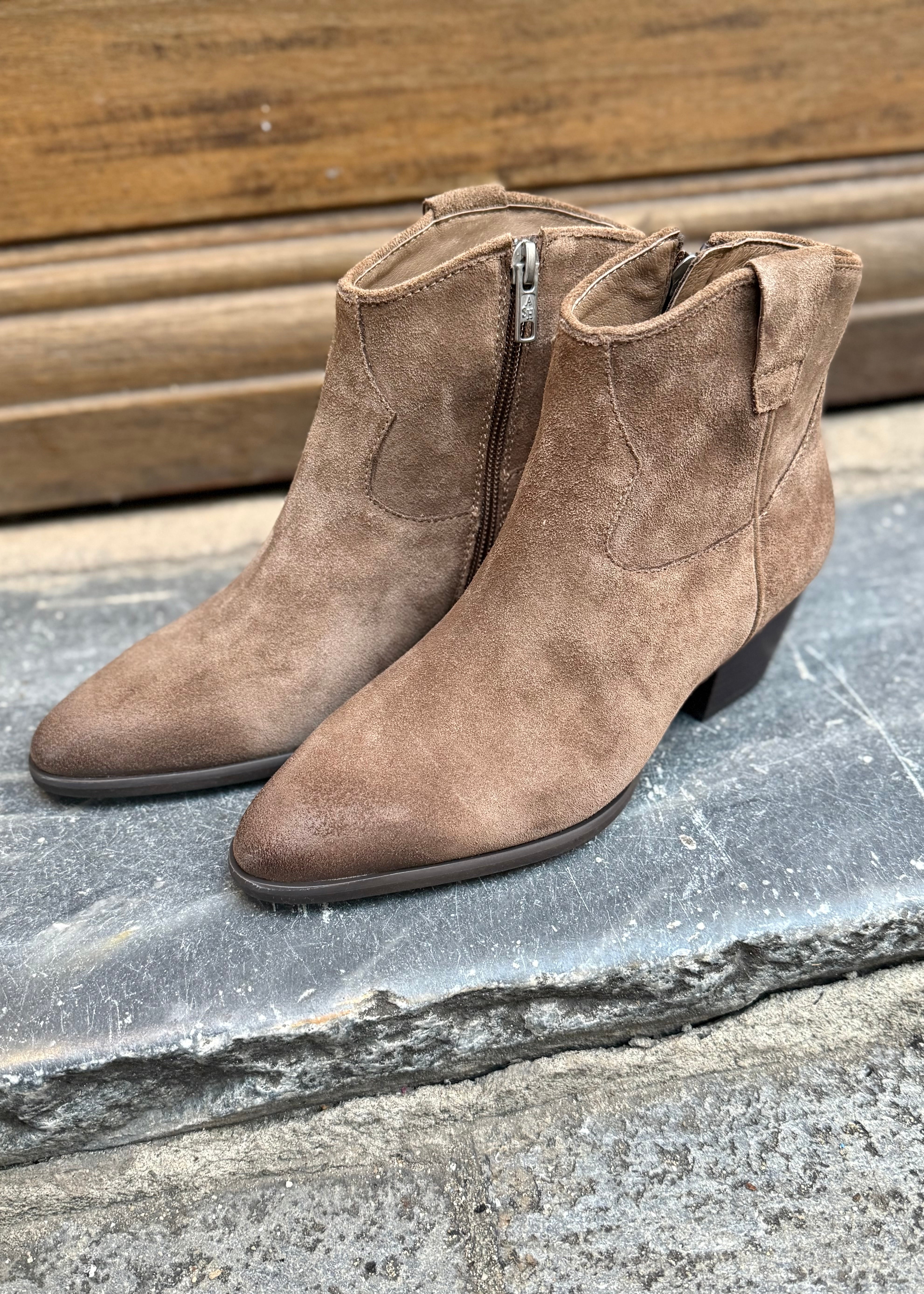 Bottines à talons Ash Fame Fandango Ash