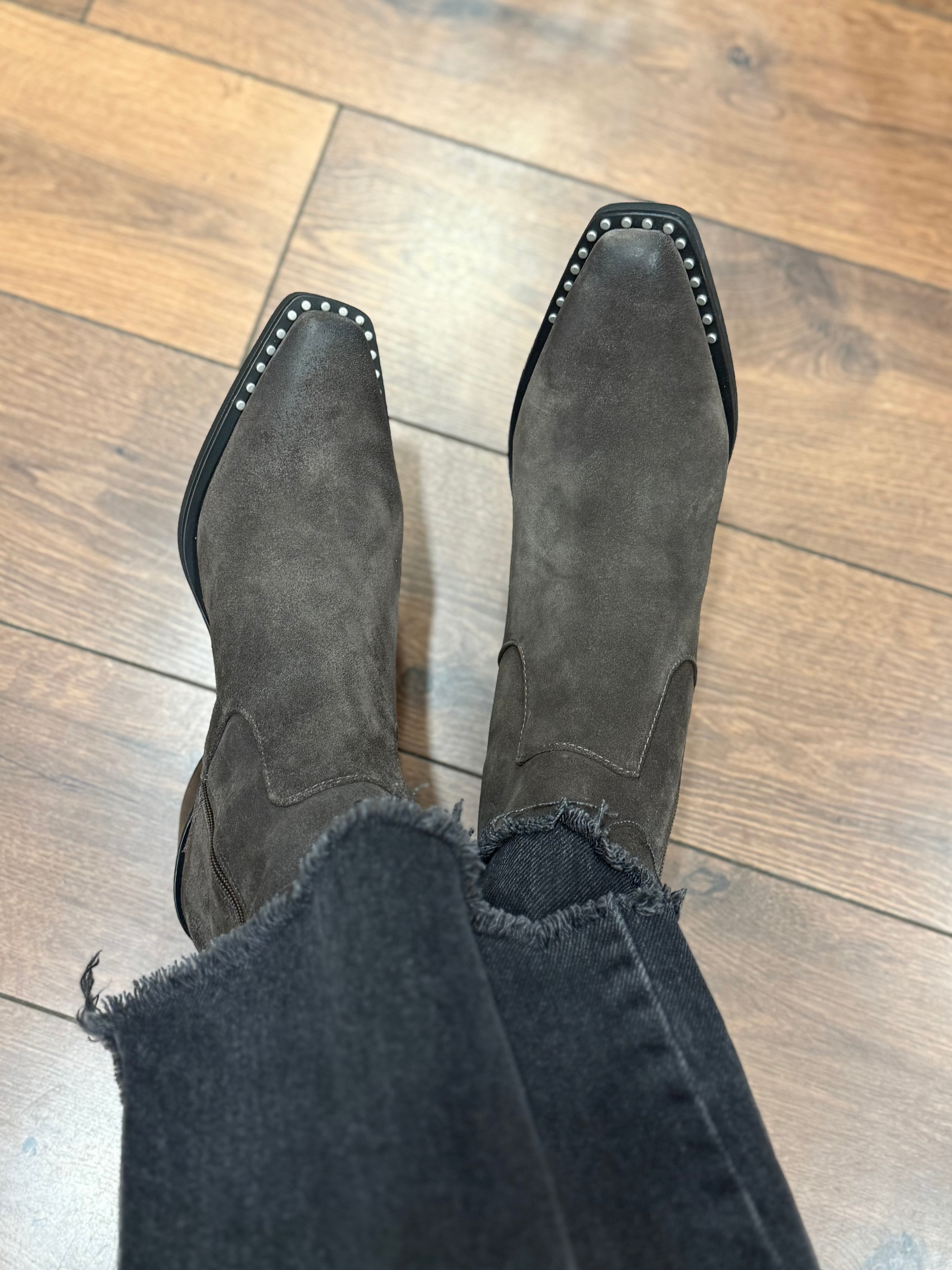 Bottines à talons Ash Hasley Africa Ash