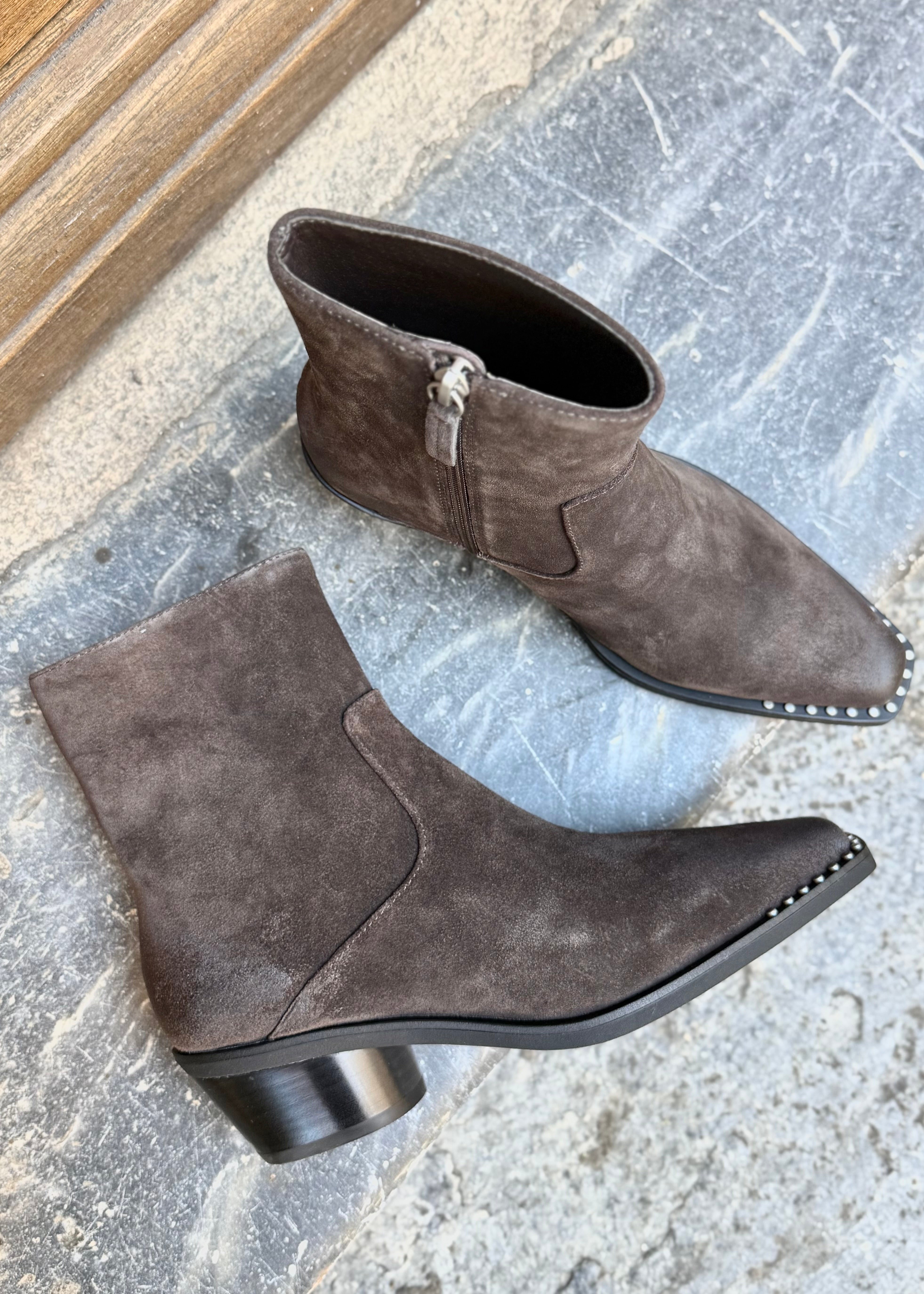 Bottines à talons Ash Hasley Africa Ash