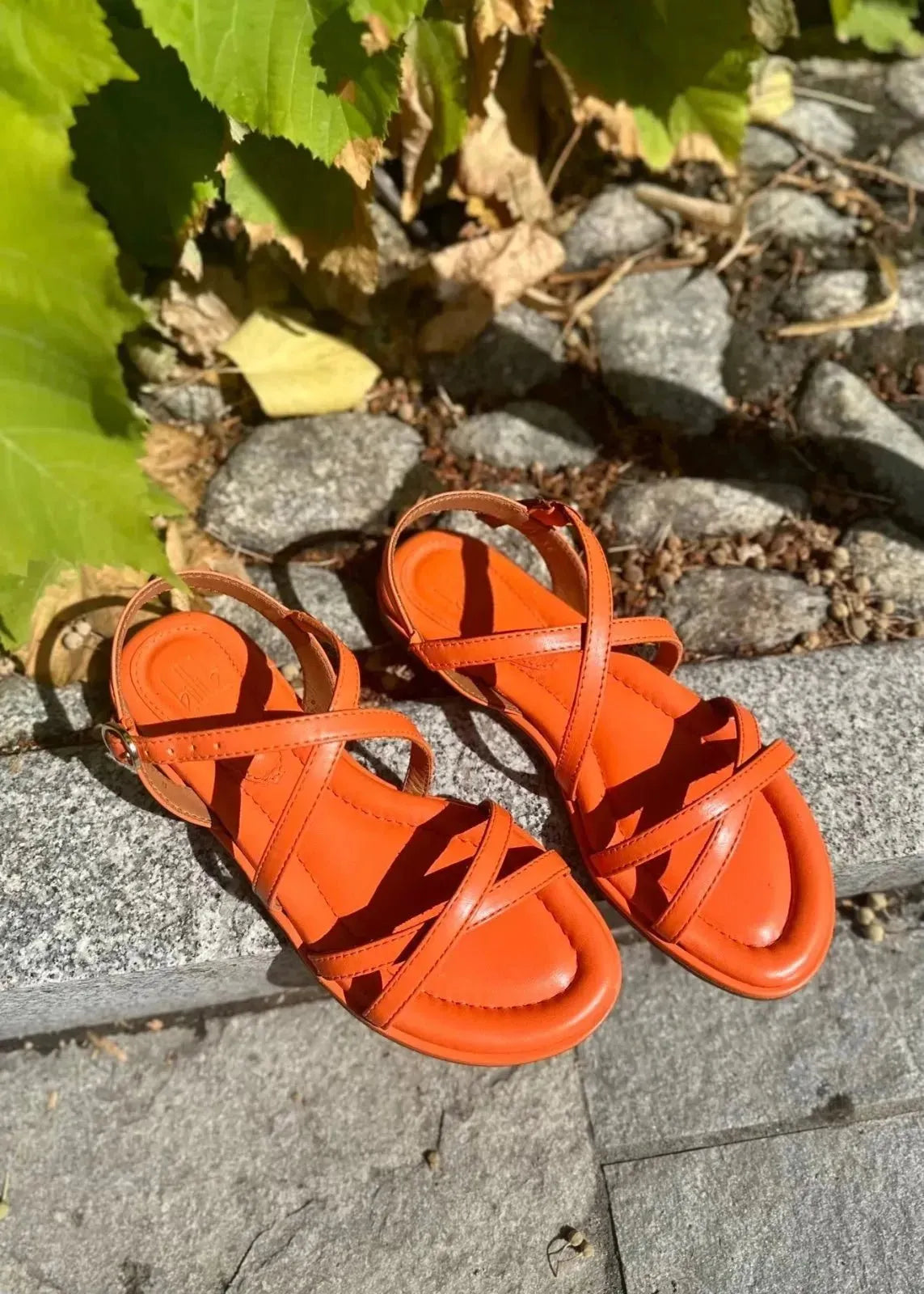 Sandales Billi Bi A4221 Orange - L'adresse Corte